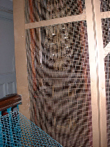 Mesh enclosure